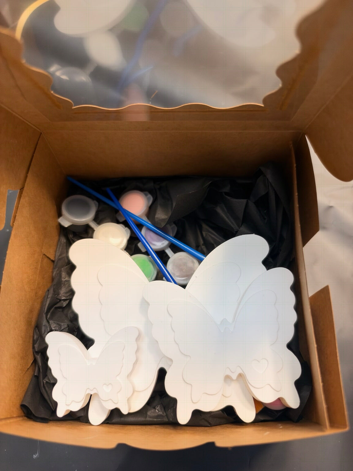 Butterfly paint kit packaged with paints and brushes