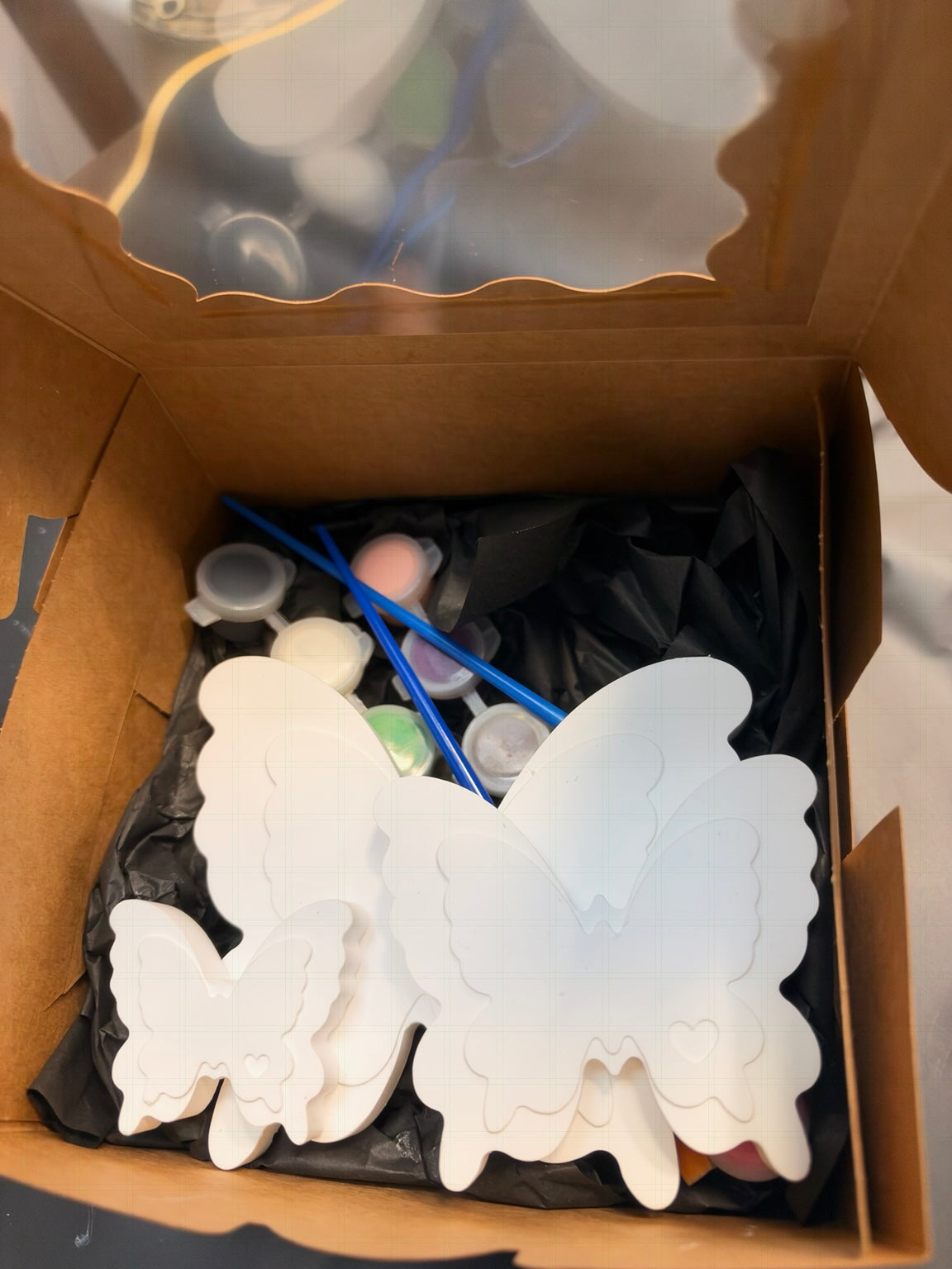 Ceramic resin butterfly kit in gift box with paint pots and brushes