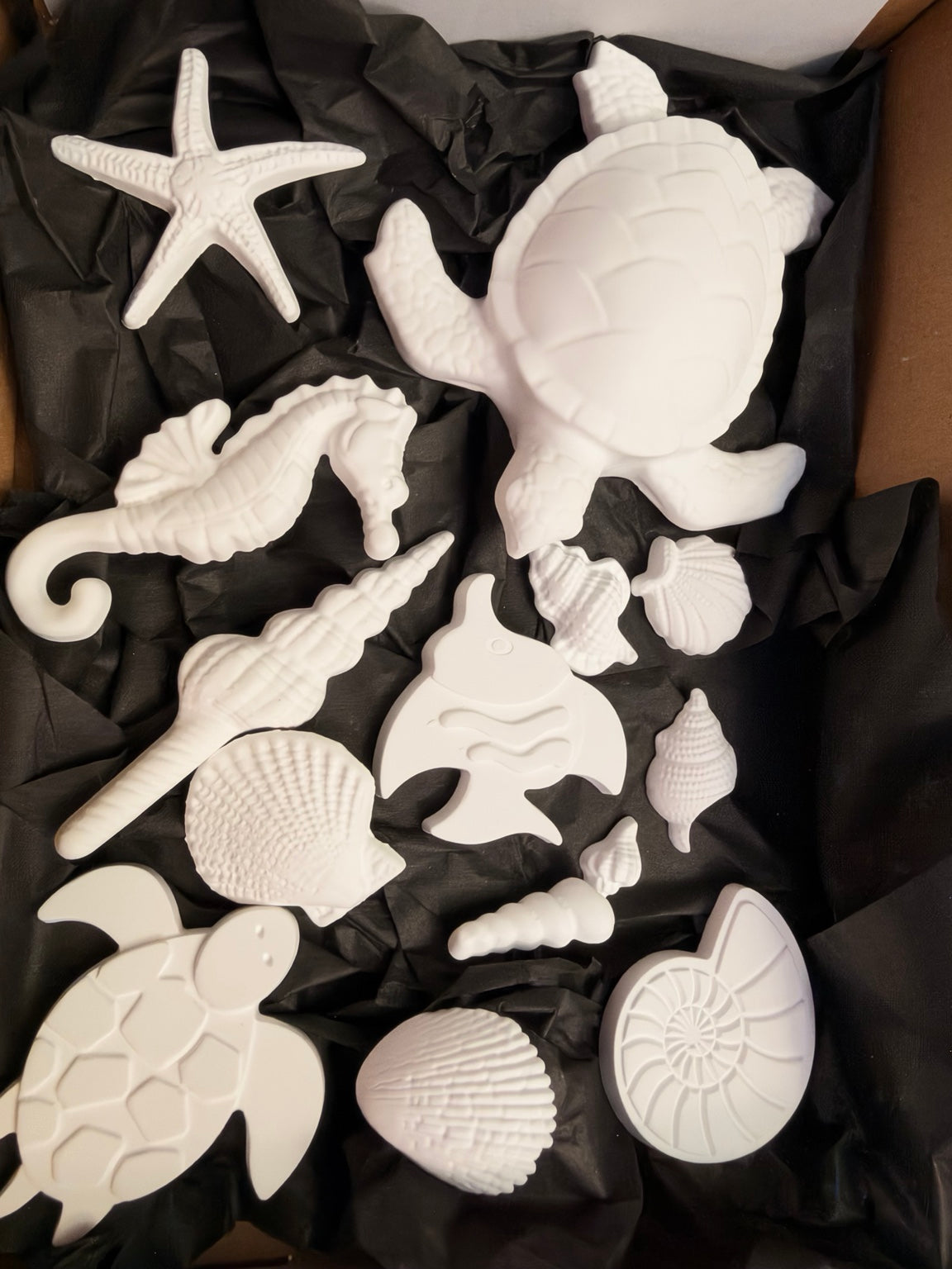Detailed unpainted sea turtle, seahorses, starfish, seashells and other ocean creatures