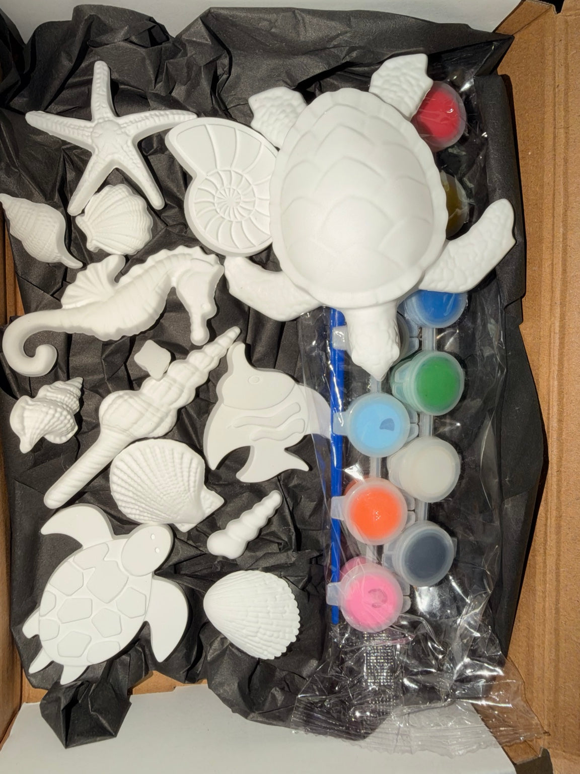 Complete ocean creatures eco ceramic resin paint kit including turtle, shells, seahorses, paints and brush