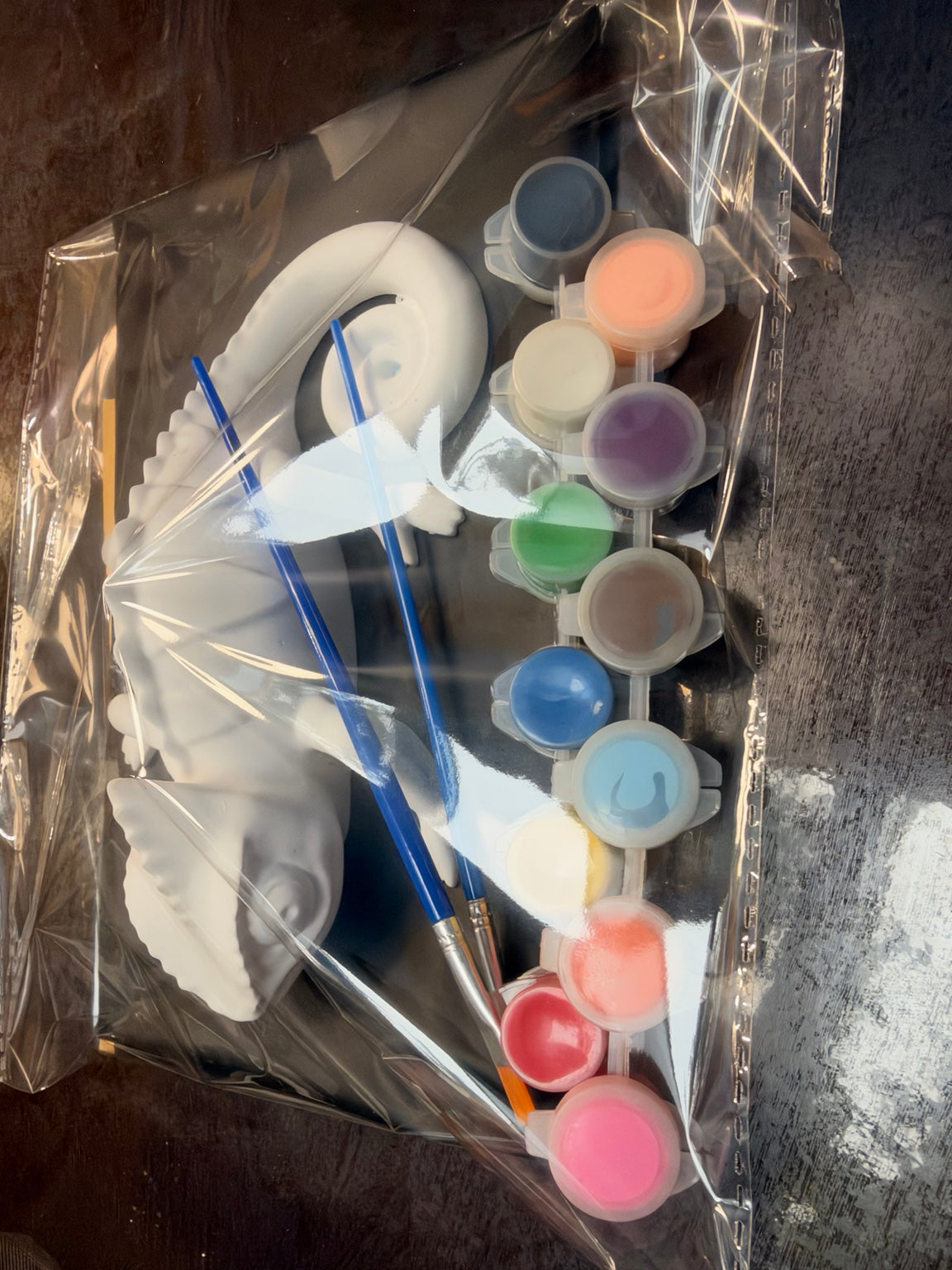 Packaged paint your own ceramic resin chameleon kit