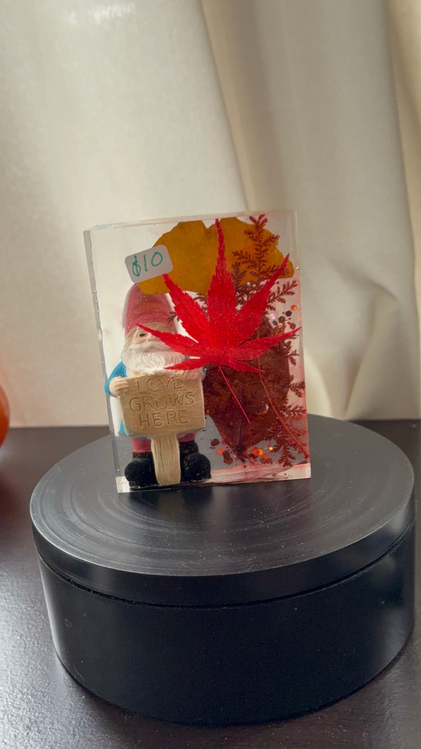 Front view of preserved botanical gnome resin paperweight with Love Grows Here sign