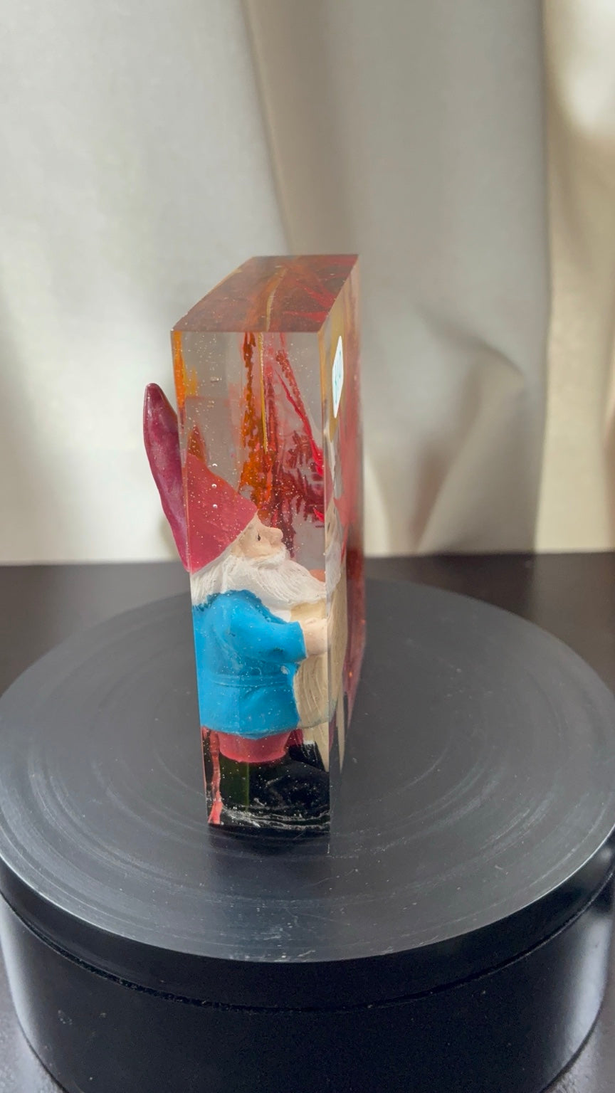 Opposite side view of small preserved botanical gnome resin display piece
