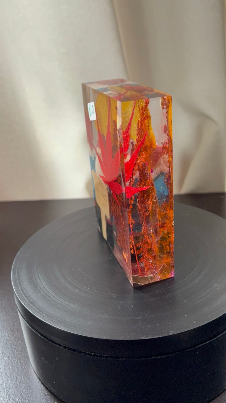 Side view of preserved botanical gnome resin paperweight